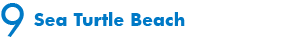 Sea Turtle Beach