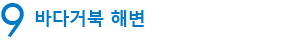 9　바다거북 해변