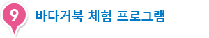 바다거북 체험 프로그램